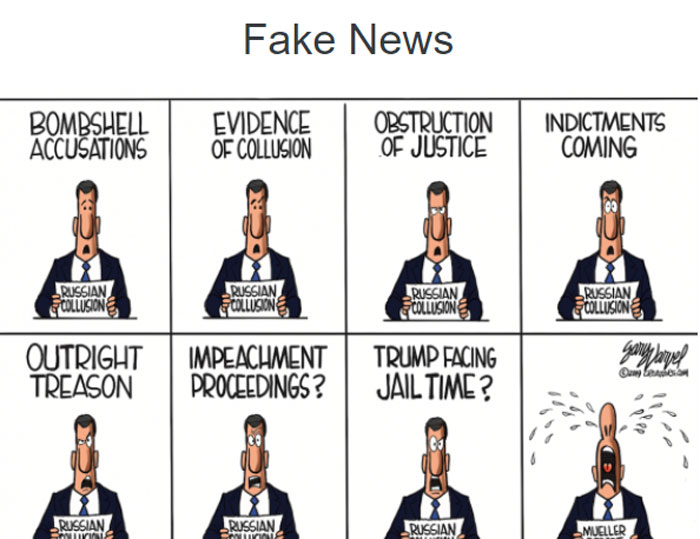 Cartoon that carries two years of fake news from the fake media. - Webmaster