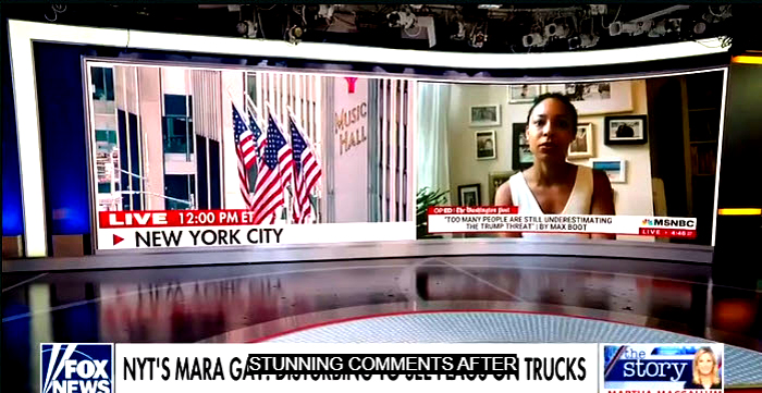 "MSNBC contributor Mara Gay said Tuesday that she was “disturbed” to see “dozens of American flags” flown by Donald Trump supporters during a weekend trip to Long Island, New York." - New York Post  